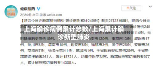 上海确诊病例累计总数/上海累计确诊新型肺炎